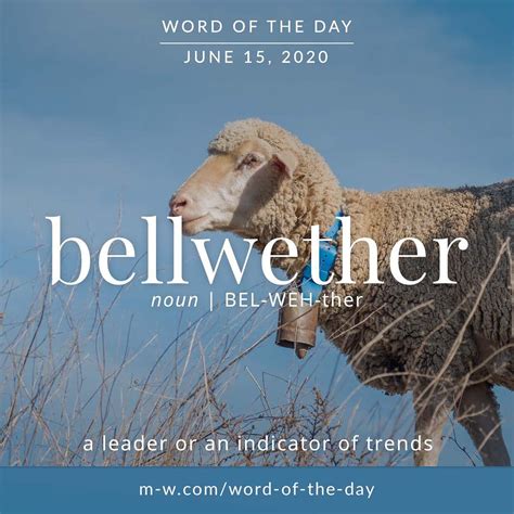 Bellwether Meaning