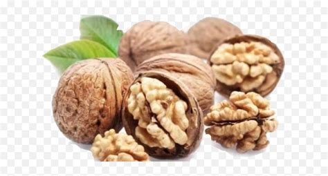 Edit - Brain Type Dry Fruit Emoji,Walnut Emoji - free transparent emoji - emojipng.com