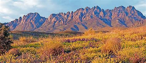 From desert to sky, see it all in New Mexico mountains