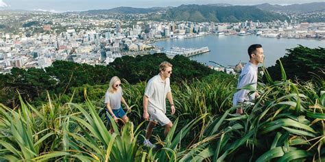 Mount Victoria Lookout Walkway - WellingtonNZ