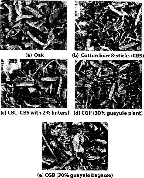 Figure 1 from Properties of thermoplastic composites with cotton and guayule biomass residues as ...