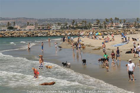 The Dog Beaches of Southern California, Part 3: "The Granddaddy of Them All" | HuffPost