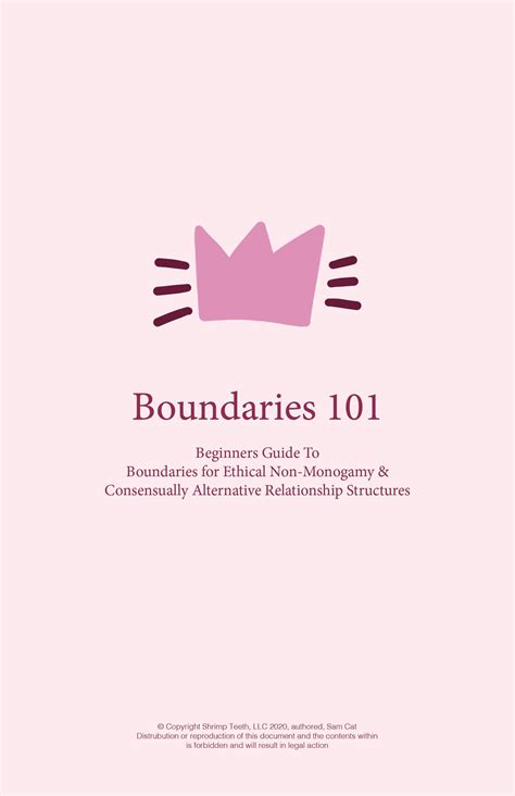 Boundaries 101 Workbook - Etsy