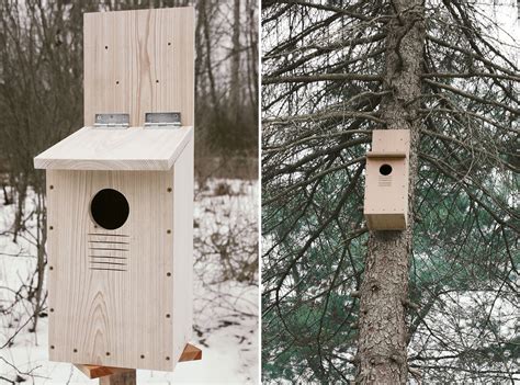 How to Build a Screech-Owl Nest Box | Audubon