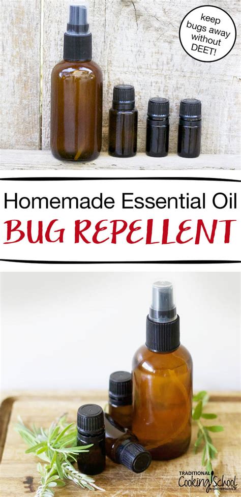 What Is A Good Homemade Rabbit Repellent - Best Homemade Rabbit Repellent - Homemade Rabbit ...