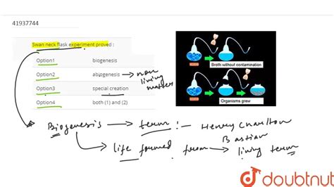 Swan neck flask experiment proved