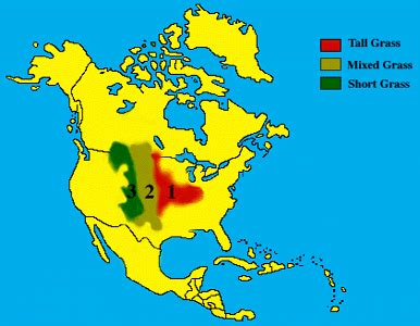 North American Grasslands