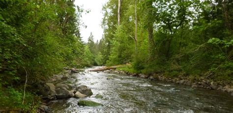 Mashel River - Nisqually Land Trust