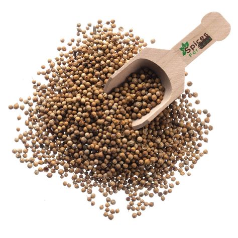 Order Whole Coriander Seeds - Discount Whole Coriander Seeds Online