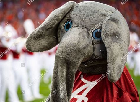 Big Al Alabama Mascot Entertains Fans Editorial Stock Photo - Stock ...