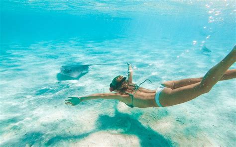 Diving in Tahiti: Top Snorkeling and Diving Spots