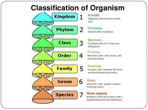 Biodiversity and Evolution