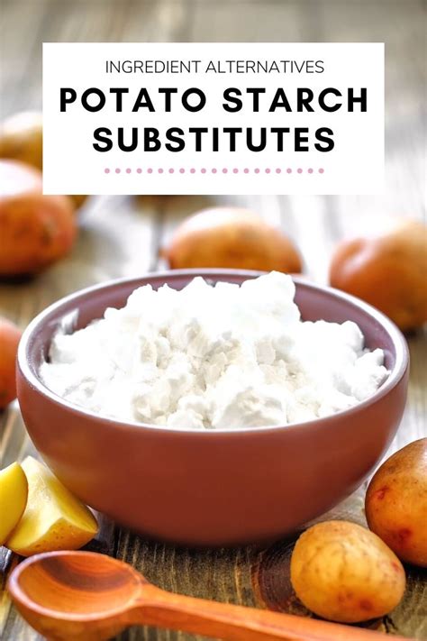 10 Best Potato Starch Substitutes - TheEatDown