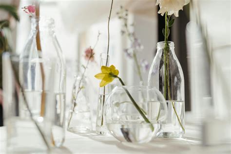 Flowers in Clear Glass Vase · Free Stock Photo