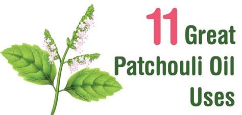 11 Great Patchouli Oil Uses - Healthy Focus