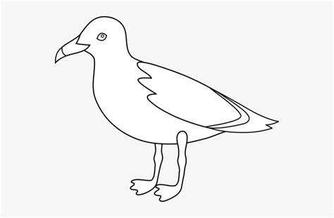 Download Bird Outline Drawing - Seagull Clipart Black And White - HD ...