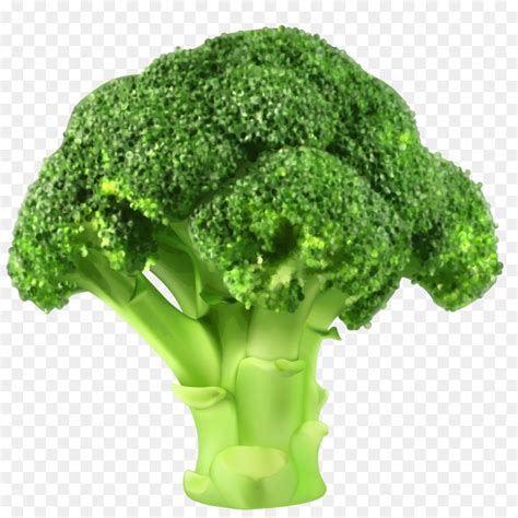 Broccoli clipart clip art pictures on Cliparts Pub 2020! 🔝