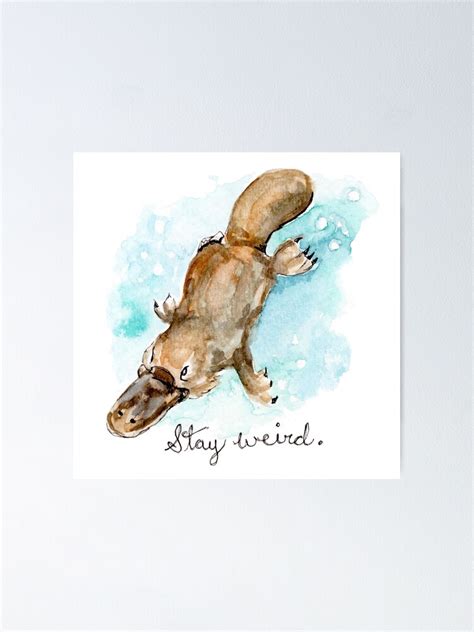 "Stay Weird, Platypus Watercolor Painting " Poster for Sale by fugitiverabbit | Redbubble