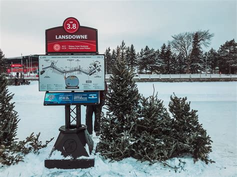 Rideau Canal Skating – 2025 Guide To Skating Canada's Longest Rink