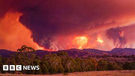 Australia fires: State of emergency declared for Canberra region - BBC News