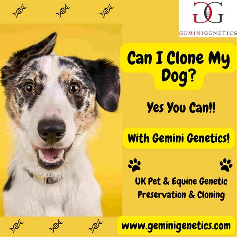 How Much Does It Cost To Clone My Dog? Dog cloning cost! | Gemini Genetics