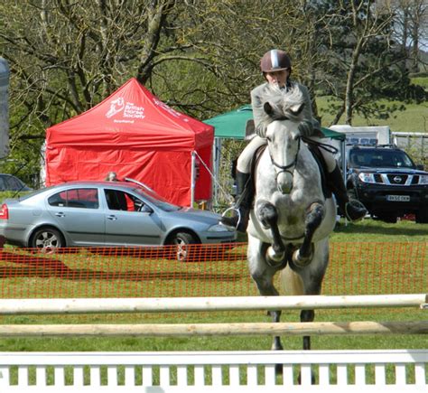 Horse Jumping Free Stock Photo - Public Domain Pictures