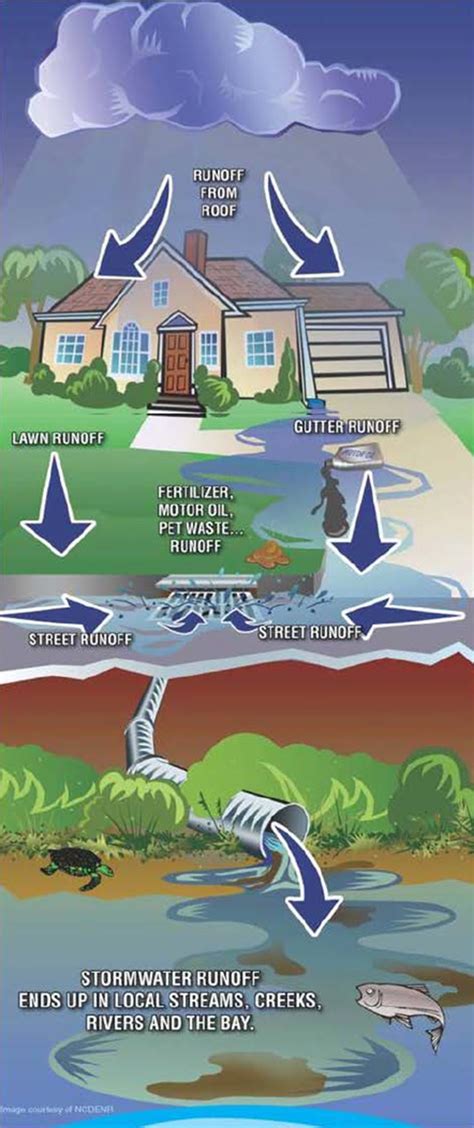 Stormwater Runoff - Pinellas County