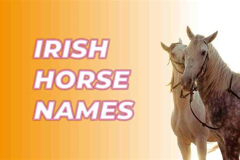 400 Irish Horse Names: Embracing The Beauty And Cultural Significance ...