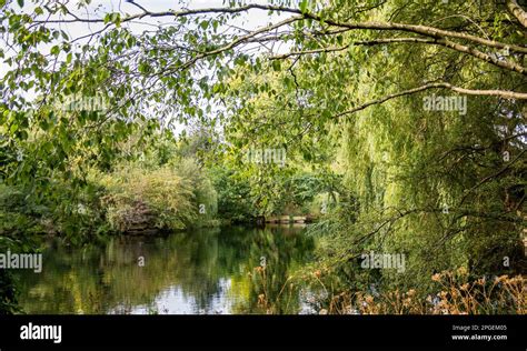 Buckingham Palace Gardens Stock Photo - Alamy