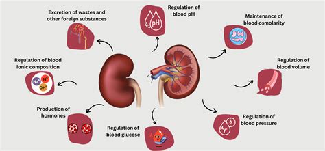 World Kidney Day