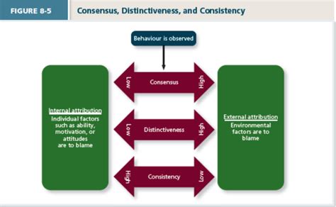 Attribution theory Diagram | Quizlet