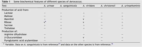 Aerococcus sanguinicola | Semantic Scholar