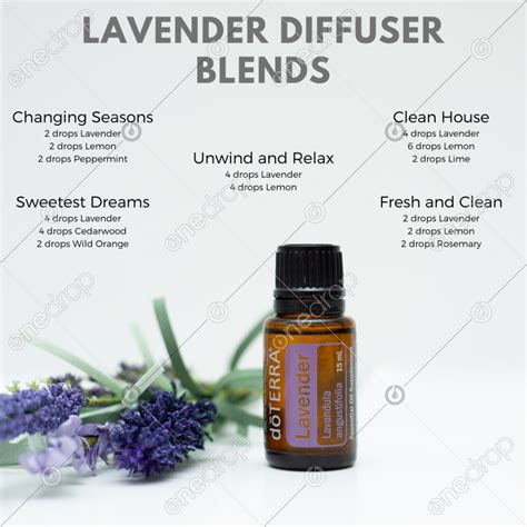 dōTERRA Lavender Diffuser Blends by Brandi Price