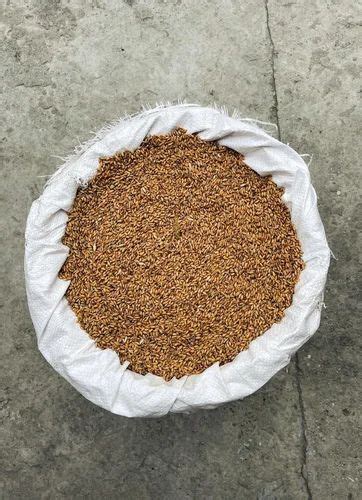 Brown Organic Emmer Wheat at Rs 80/kg in Bengaluru | ID: 2850439780748