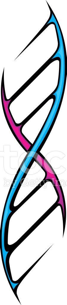 Dna Graphic Stock Vector | Royalty-Free | FreeImages