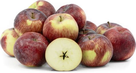 Empire Apples Information, Recipes and Facts