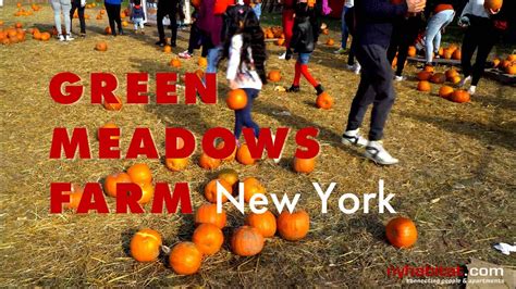 Exploring NYC: Green Meadows Farm - YouTube