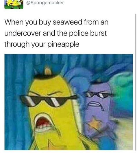 Police Burst Through Your Pineapple | Spongebob Cops | Know Your Meme