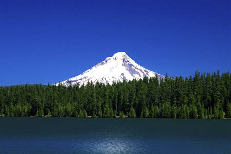 Northwest Oregon Photography: Mt. Hood over Timothy Lake