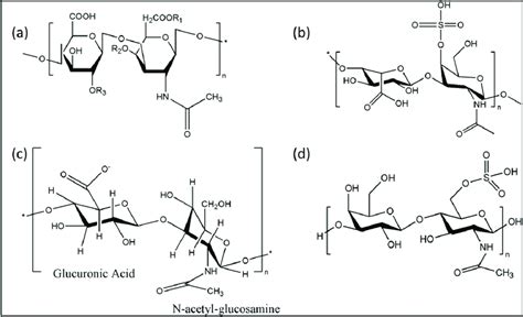 Structures of different proteoglycans (a) Chondroitin Sulfate; (b)... | Download Scientific Diagram