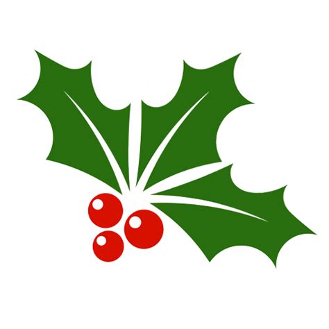 mistletoe cartoon png