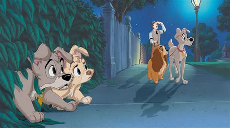 Lady And The Tramp II: Scamp's Adventure Wallpapers - Wallpaper Cave