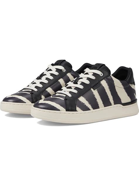 Zebra shoes + FREE SHIPPING | Zappos.com