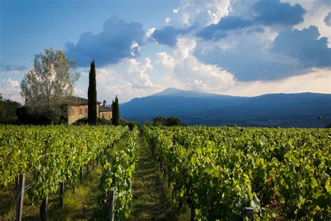 BRUNELLO DI MONTALCINO DOCG VINEYARDS AND WINERIES FOR SALE, COUNTRY ...