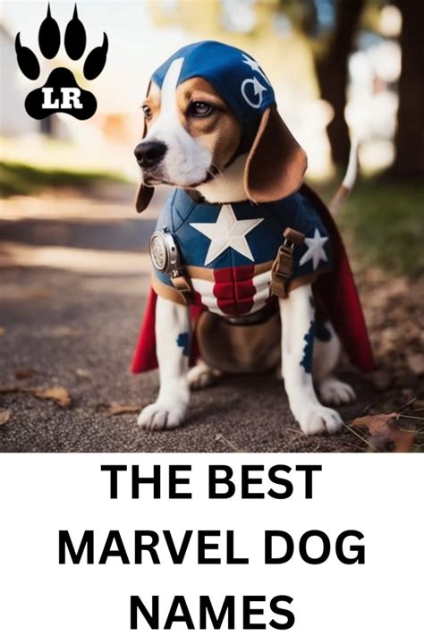 Fantastic Marvel Dog Names | Labrottie.com