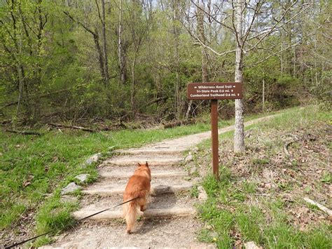 Cumberland Gap Wilderness Road Campground - Go Wandering