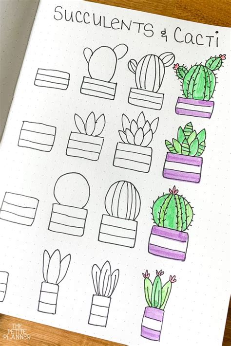 Cute Cactus Drawing Cute Succulent Drawing Let s learn how to draw ...