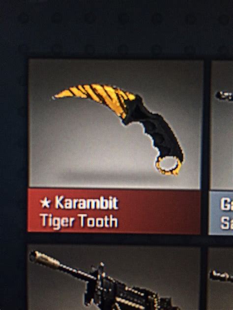 CSGOStash on Twitter: "Karambit Tiger Tooth is the last of the new ...