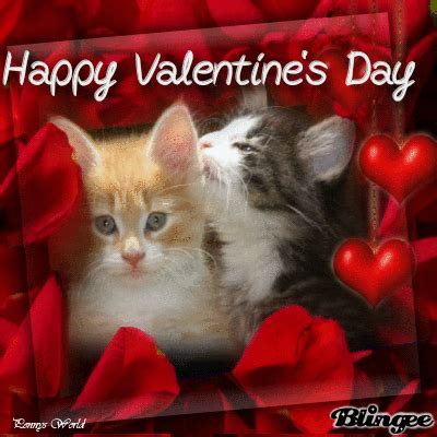 Happy Valentines Day cat | Vintage posterler, Poster