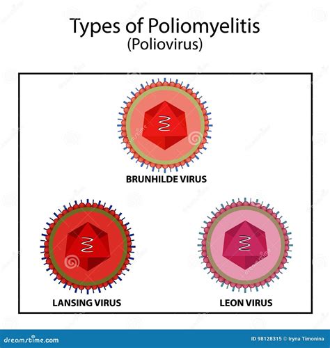 Poliovirus Structure